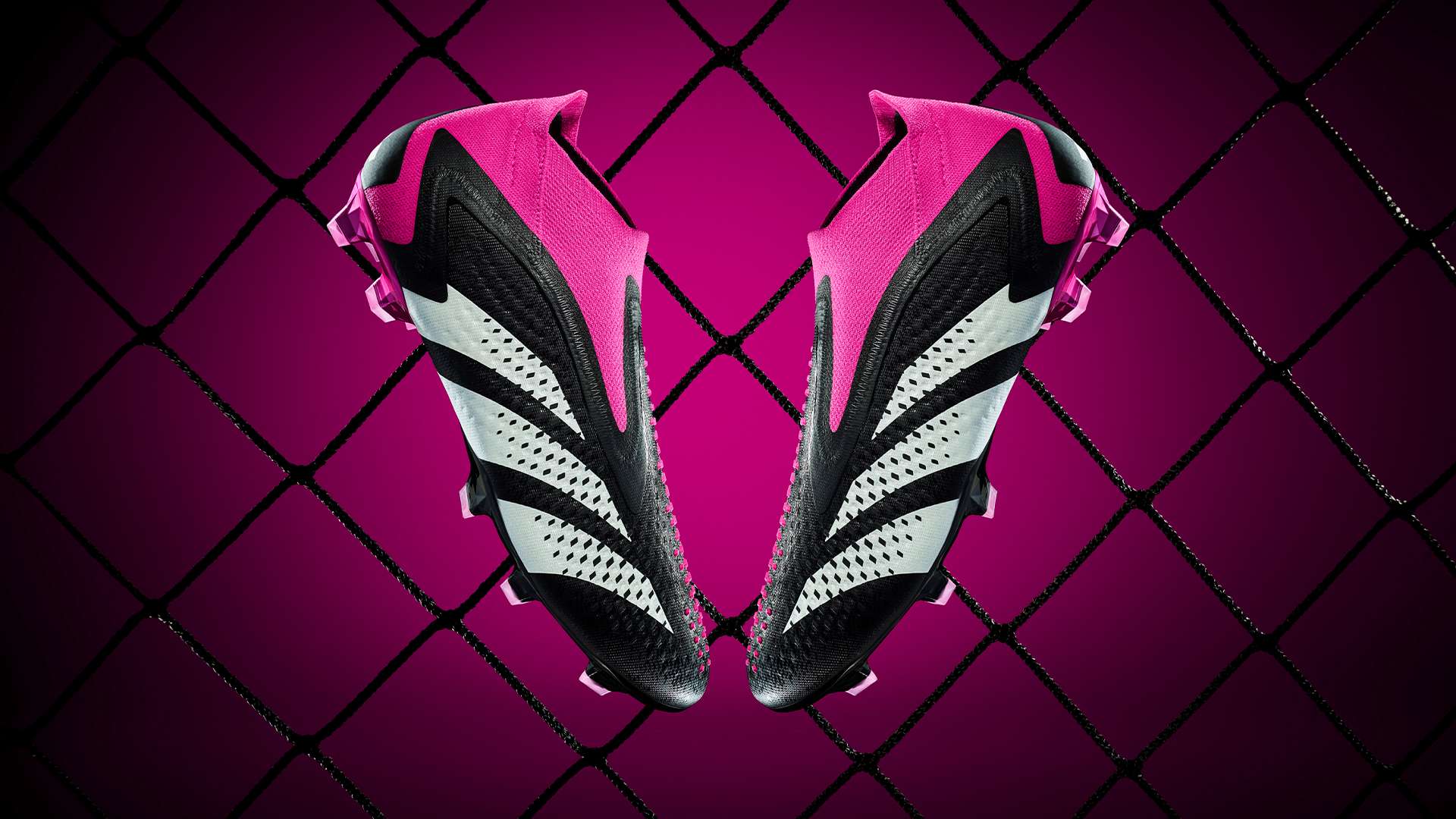 球迷展望 球迷展望