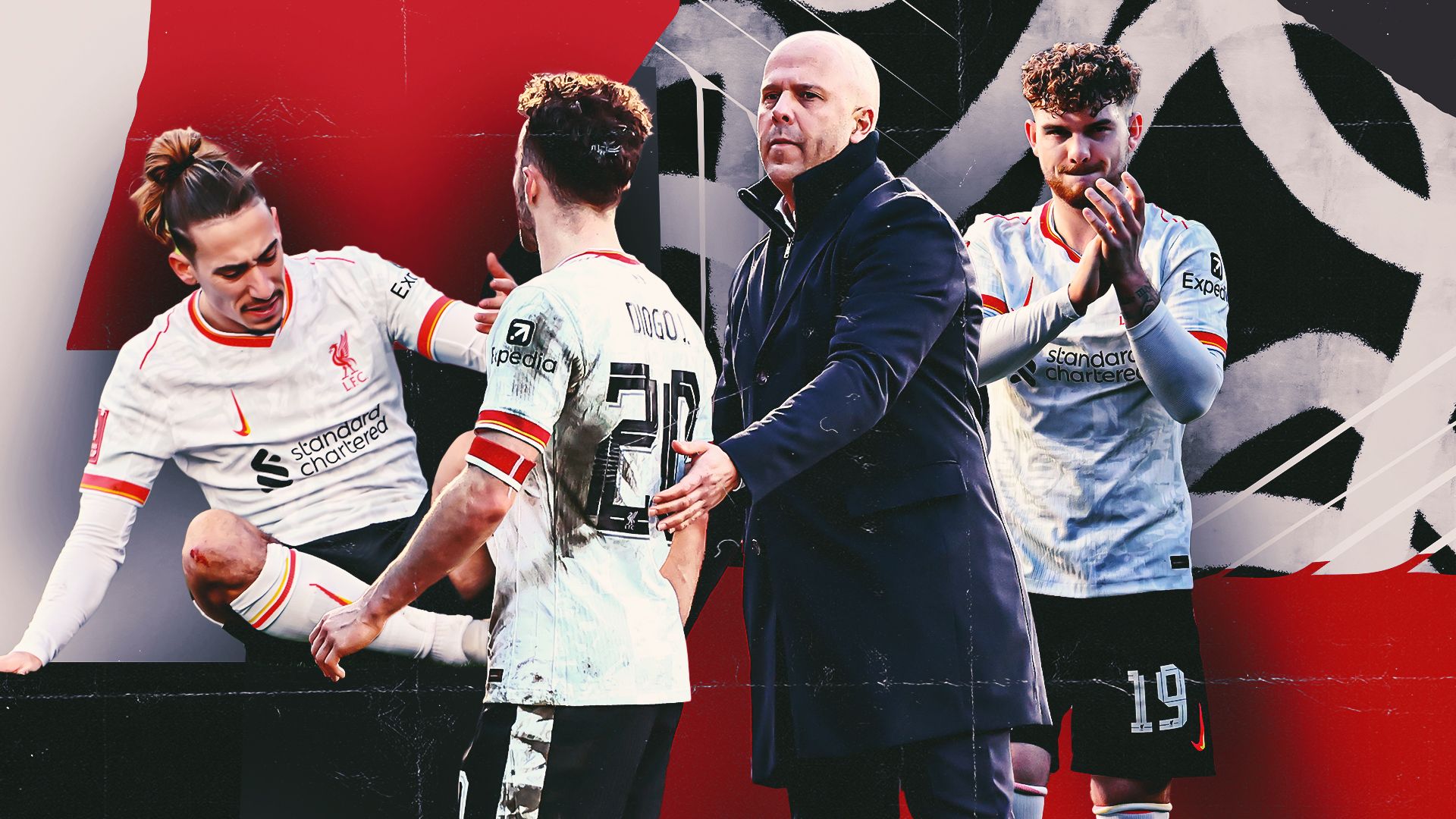 球迷们在回 球迷们在回